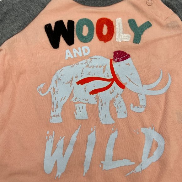 Peek Babies' Colorblock Wooly And Wild Mammoth Adventures Tee Coral 6-12M NWT - Picture 4 of 6